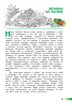 Великан на поляне, или Первые уроки экологической этики 3