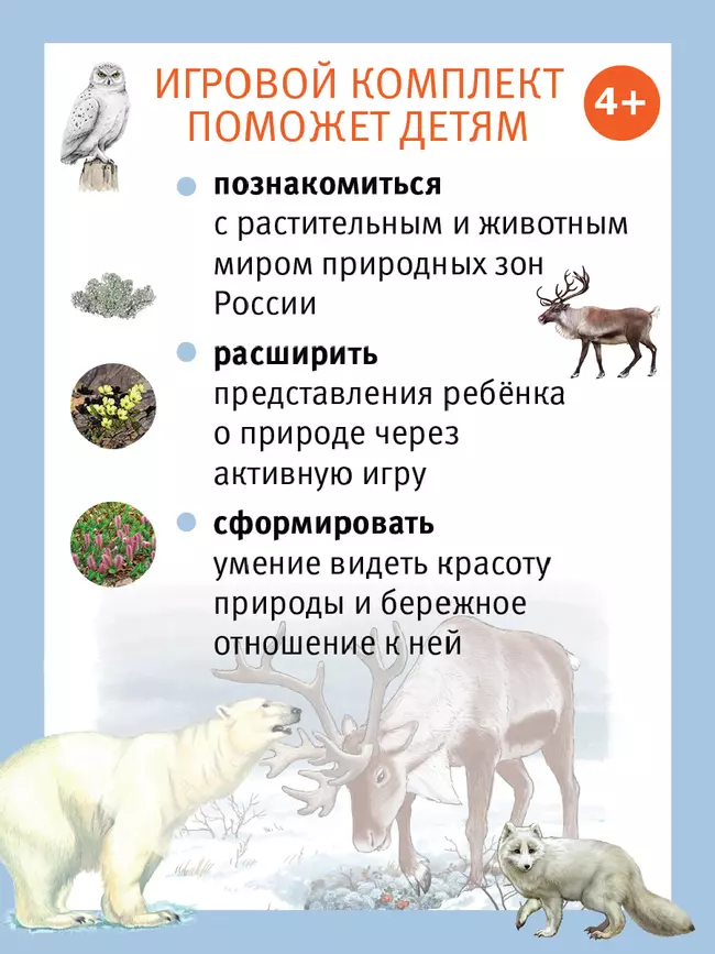 Путешествие по России утки Руси. Настольная игра 47