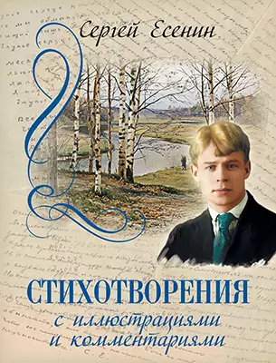 Стихотворения с иллюстрациями и комментариями 1