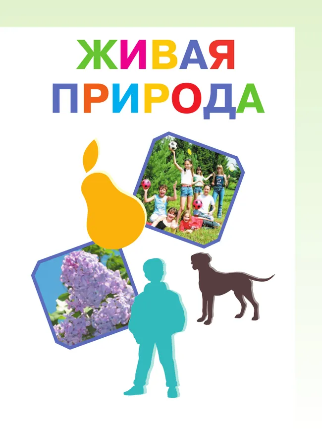 Мир природы и человека. 4 класс. Учебник. В 2 частях. Часть 2 (для обучающихся с интеллектуальными нарушениями) 44