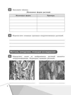 Биология. Рабочая тетрадь. 6 класс 14