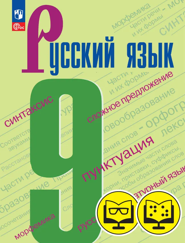 Русский язык. 9 класс. (для обучающихся с нарушением зрения) 1