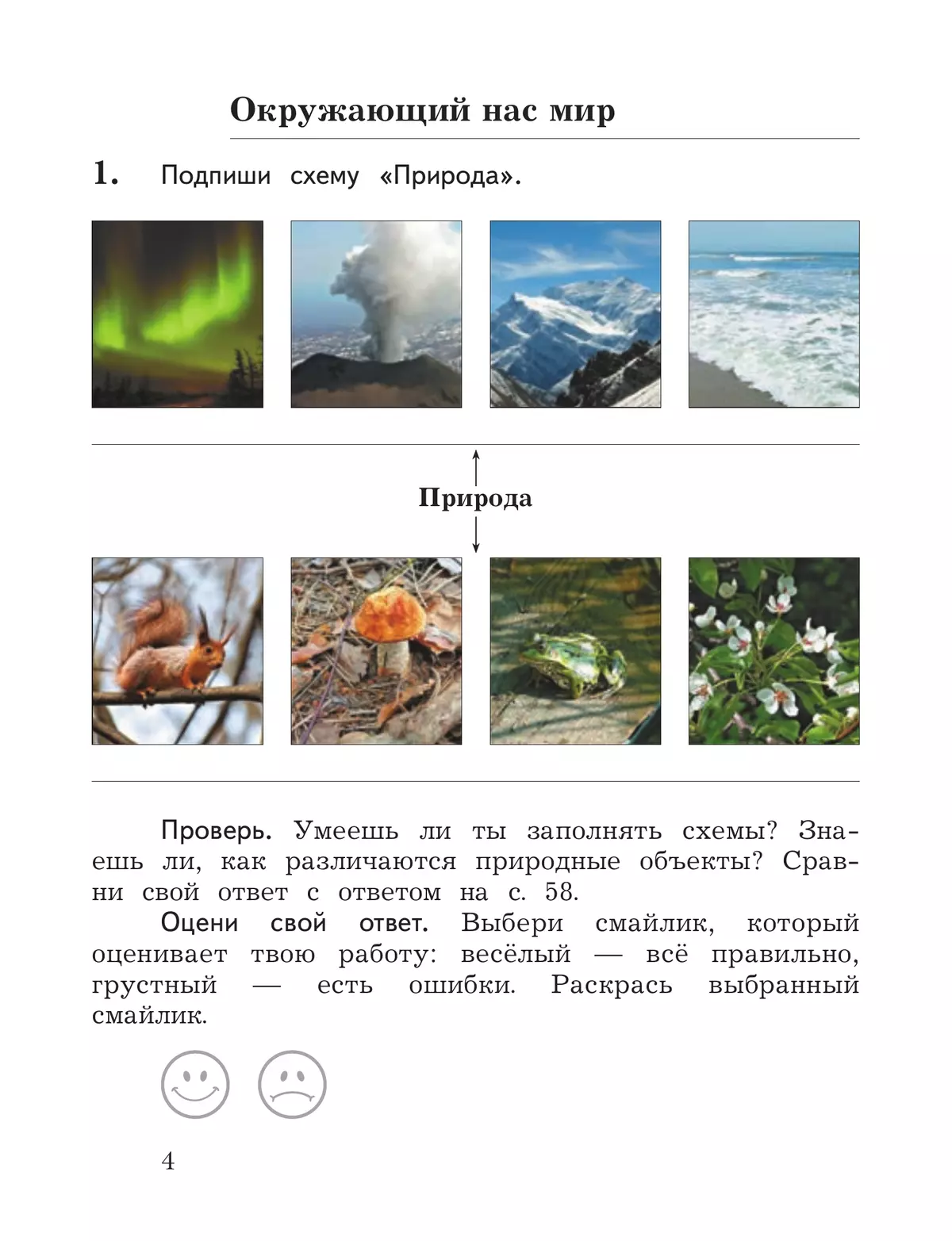 Окружающий мир. 2 класс. Тетрадь для проверочных работ. В 2 частях. Часть 1 11