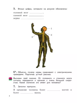 Окружающий мир. 3 класс. Рабочая тетрадь. В 2 частях. Часть 2 23