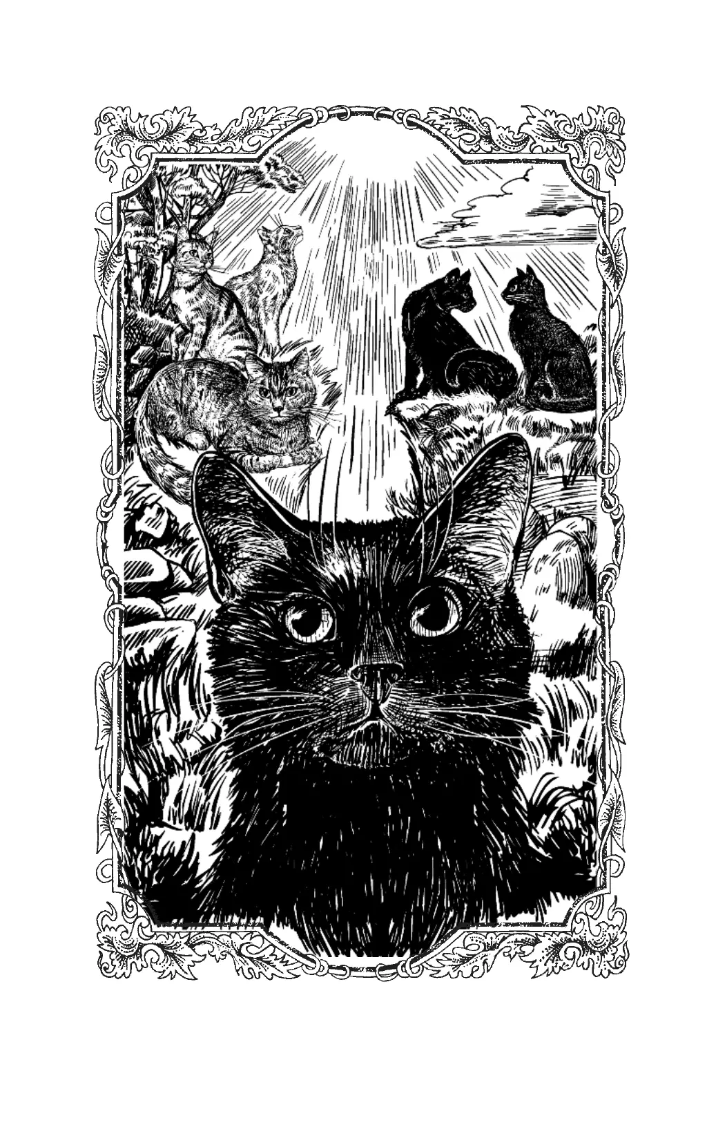 Коты воители. Испытание Грача. Прощение 17