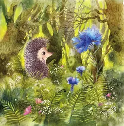 Ёжик и море. Сказки 17