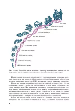 Жизнь в свете эволюции. 7-9 классы. Углублённый уровень. Учебное пособие 1