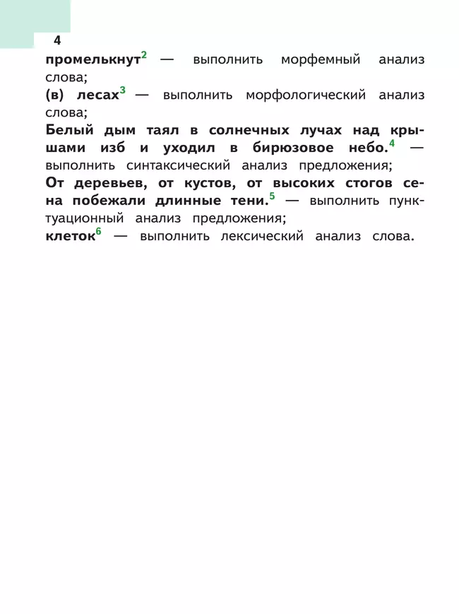 Русский язык. 6 класс. Учебное пособие. В 5 ч. Часть 2 (для слабовидящих обучающихся) 24