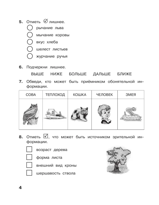 Информатика. 2 класс. Контрольные работы 3