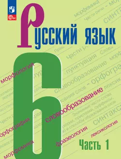 Русский язык. 6 класс.  Учебник. В 2 частях. Часть 1 1