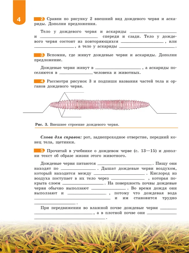 Биология. Животные. 8 класс. Рабочая тетрадь (для обучающихся с интеллектуальными нарушениями) 5 Биология. Животные. 8 класс. Рабочая тетрадь (для обучающихся с интеллектуальными нарушениями) 5