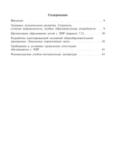 Дети с задержкой психического развития 13