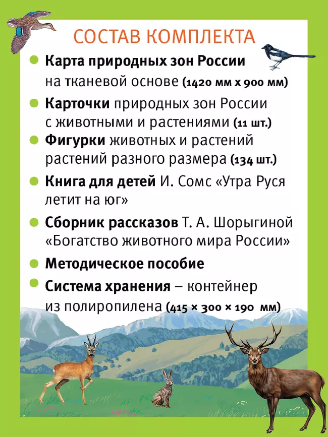 Путешествие по России утки Руси. Настольная игра 10