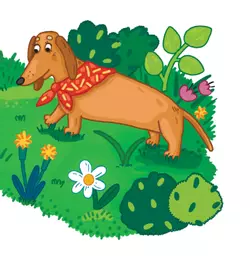 Неудачная охота 14