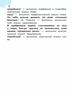 Русский язык. 7 класс. Учебное пособие. В 3 ч. Часть 3 (для слабовидящих обучающихся) 20