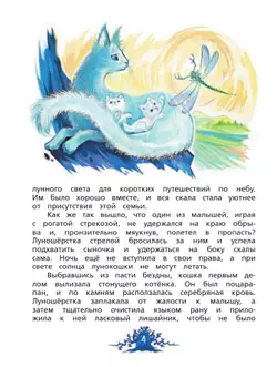 Хрустальные слёзы Лунокошки и Птица-Тень 24