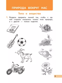 Окружающий мир. 2 класс. Рабочая тетрадь. В 2 частях. Часть 2 18