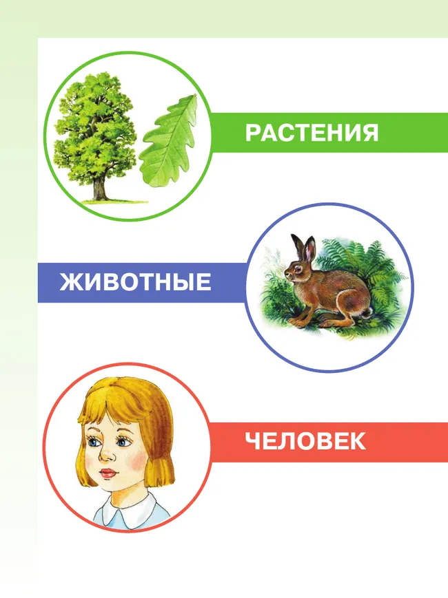 Мир природы и человека. 1 класс. Учебник. В 2 частях. Часть 2 (для обучающихся с интеллектуальными нарушениями) 9 Мир природы и человека. 1 класс. Учебник. В 2 частях. Часть 2 (для обучающихся с интеллектуальными нарушениями) 9