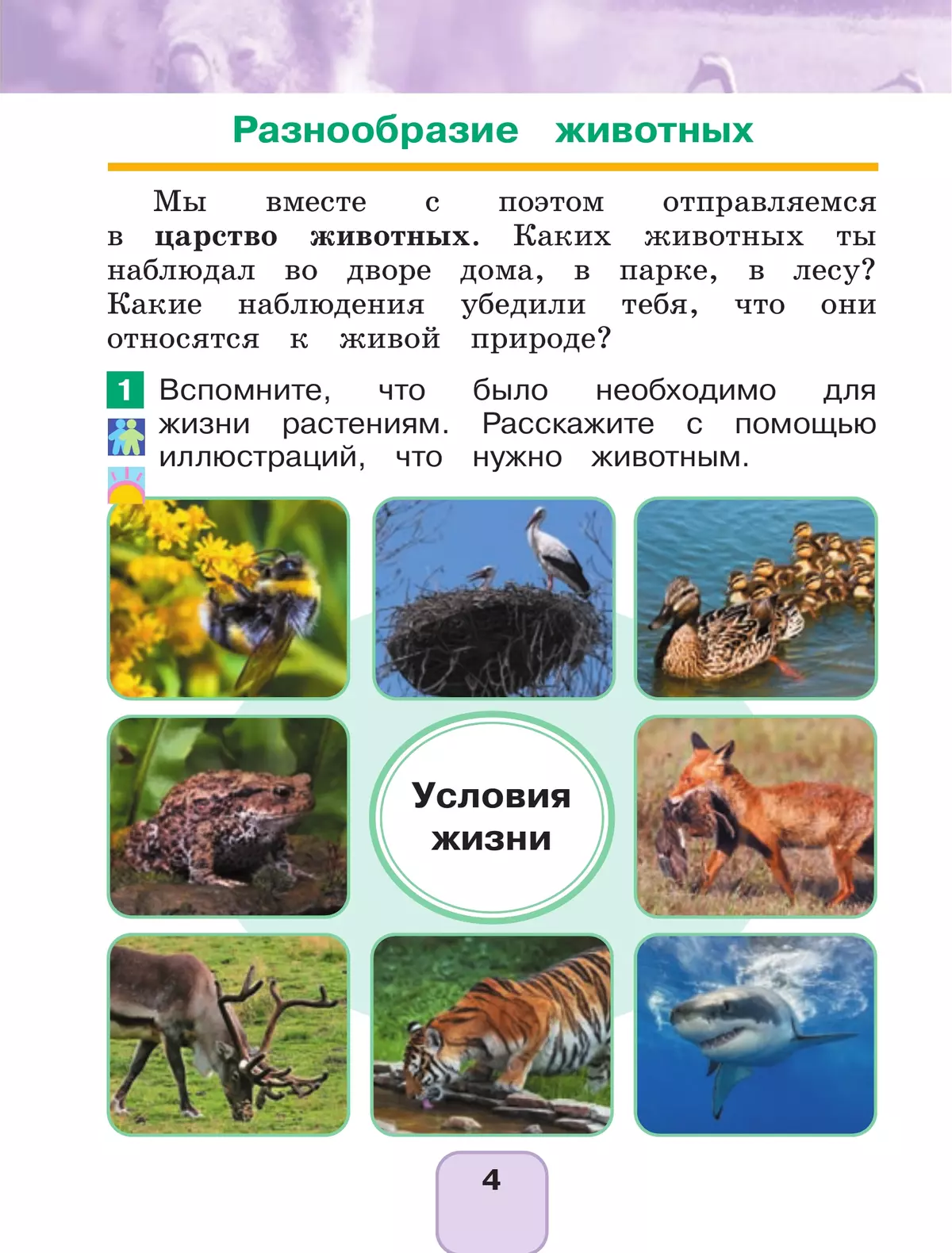 Окружающий мир. 1 класс. Учебное пособие. В 2 ч. Часть 2 27