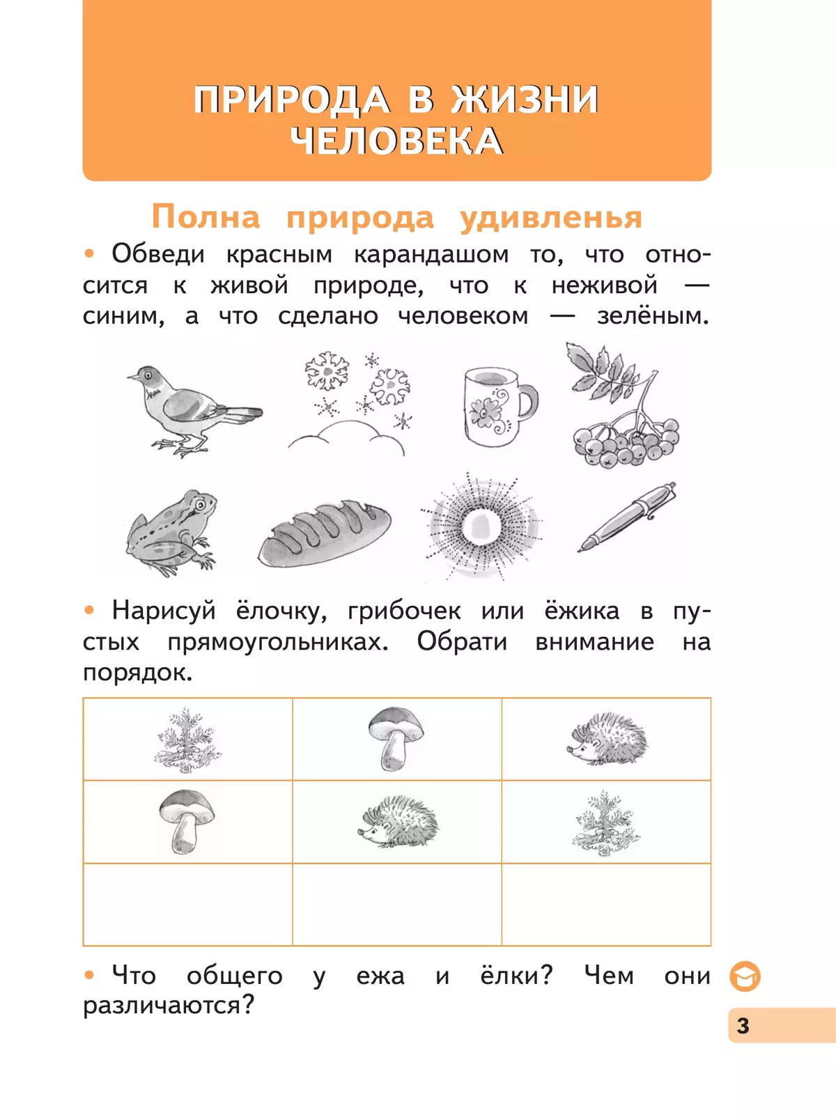 Окружающий мир. 1 класс. Рабочая тетрадь. В 2 частях. Часть 2 18