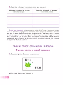 Биология. Человек. 9 класс. Рабочая тетрадь (для обучающихся с интеллектуальными нарушениями) 5