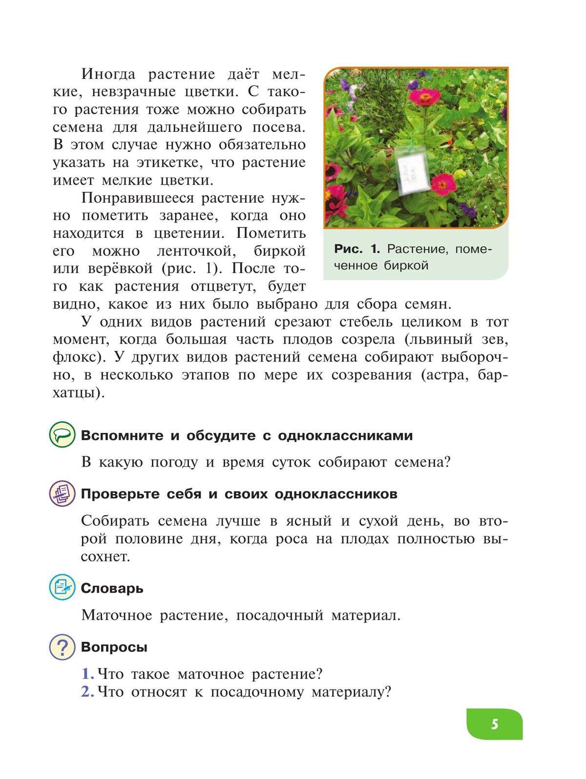 Технология. Цветоводство и декоративное садоводство. 8 класс. Учебник (для обучающихся с интеллектуальными нарушениями) 9