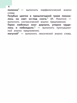 Русский язык. 5 класс. Учебное пособие. В 5 ч. Часть 1 (для слабовидящих обучающихся) 8
