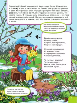 Вспоминаем весну! Учимся видеть и понимать (с наклейками) 16