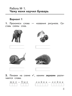 Русский язык: предварительный контроль, текущий контроль, итоговый контроль. 1 класс 10