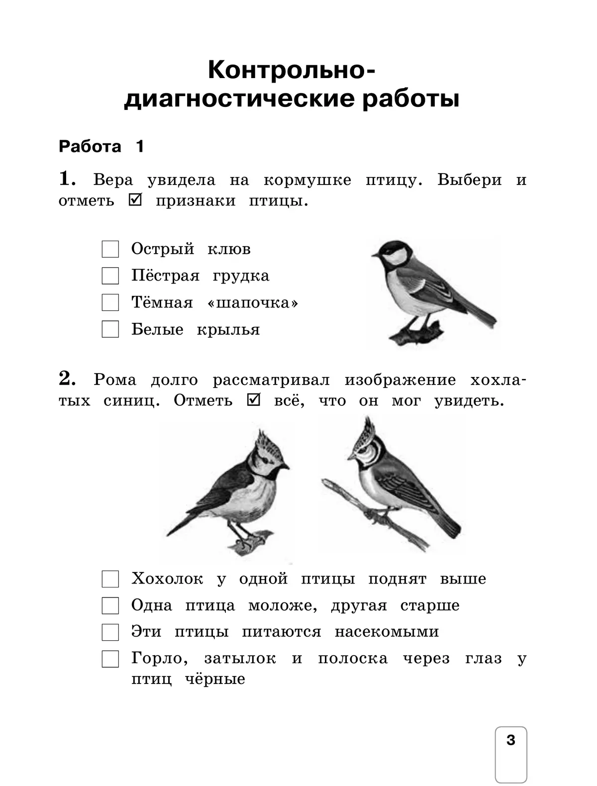 Входная диагностическая работа по истории 11 класс. Контрольно-диагностические работы. Диагностические задания для 2 класса. Диагностическая работа. Диагностические проверочные работы.