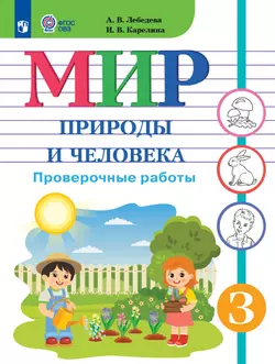 Мир природы и человека. 3 класс. Проверочные работы (для обучающихся с интеллектуальными нарушениями) 1