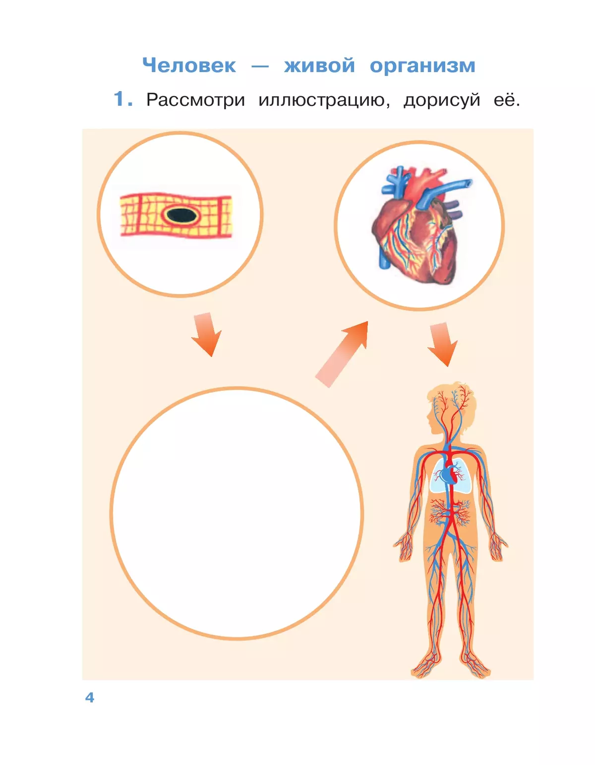 Окружающий мир. 4 класс. Рабочая тетрадь. В 2 частях. Часть 1 7