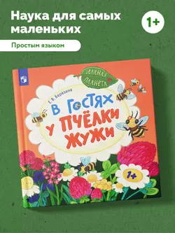 В гостях у пчёлки Жужи 26