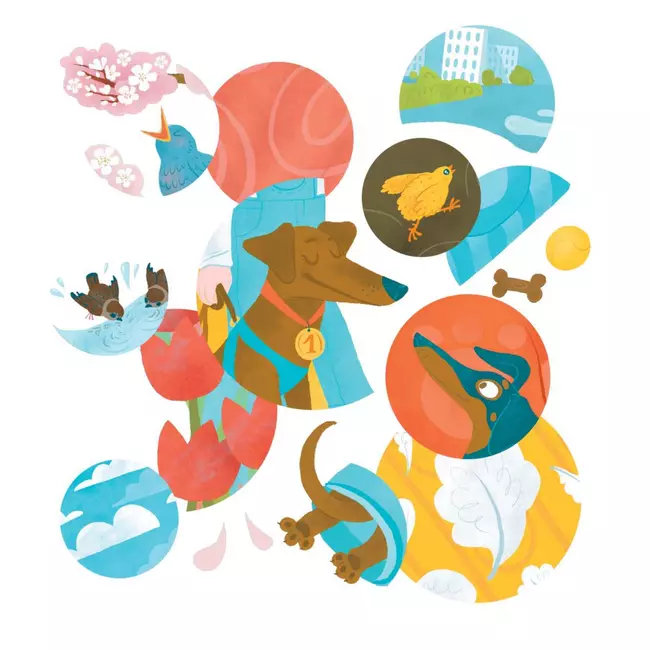 Волшебный нос. 30 историй для первого чтения 8 Волшебный нос. 30 историй для первого чтения 8