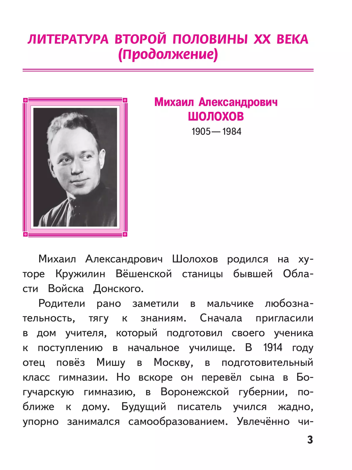 Литература. 8 класс. Учебное пособие. В 7 ч. Часть 6 (для слабовидящих обучающихся) 24