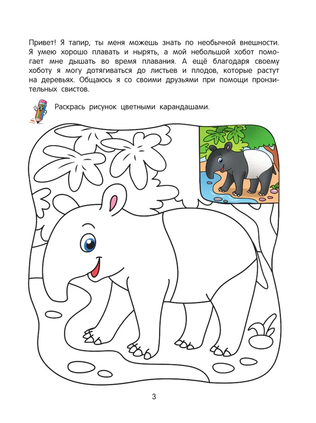 Джунгли. Познавательная раскраска. 4+ 22