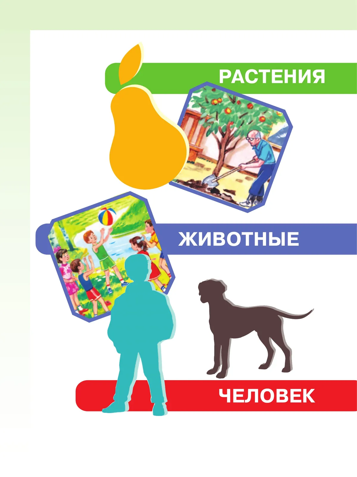 Мир природы и человека. 2 класс. Учебник. В 2 частях. Часть 2 (для обучающихся с интеллектуальными нарушениями) 19