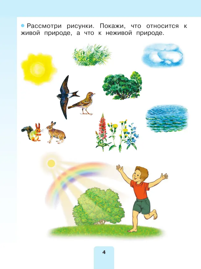 Мир природы и человека. 1 класс. Учебник. В 2 частях. Часть 1 (для обучающихся с интеллектуальными нарушениями) 17 Мир природы и человека. 1 класс. Учебник. В 2 частях. Часть 1 (для обучающихся с интеллектуальными нарушениями) 17