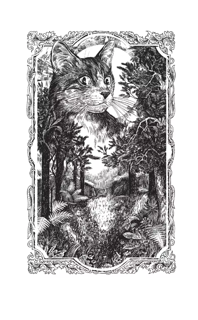 Тень Когтегрива. Видения 1 Тень Когтегрива. Видения 1