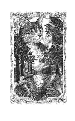 Тень Когтегрива. Видения 1