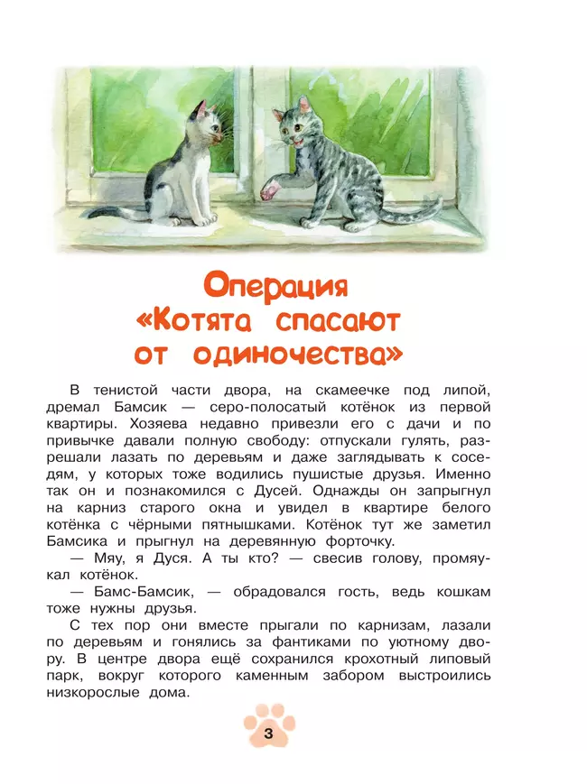 Агент Ноль-ноль-кот 9