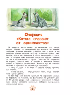 Агент Ноль-ноль-кот 9