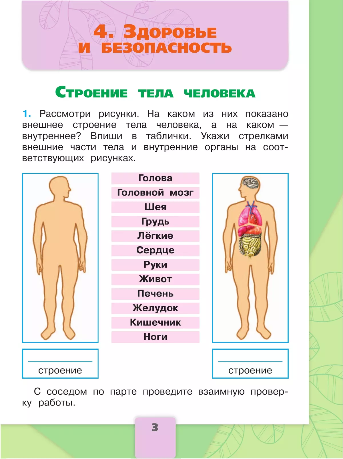 Окружающий мир. Рабочая тетрадь. 2 класс. В 2-х ч. Ч. 2 17