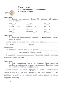 Русский язык. 3 класс. Пишем грамотно. Рабочая тетрадь. В 2 ч. Часть 2 34