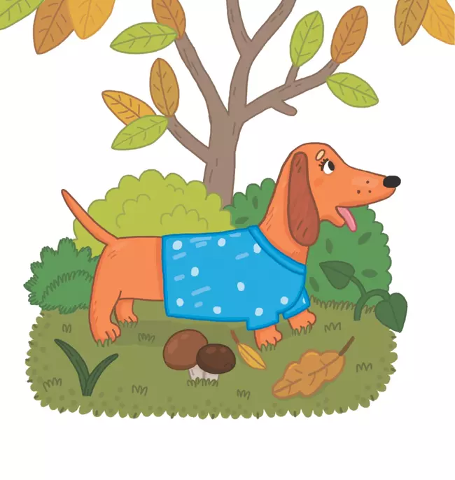 СПАСАТЕЛИ. Книжка-картинка для первого чтения. Матвеева Е. 5