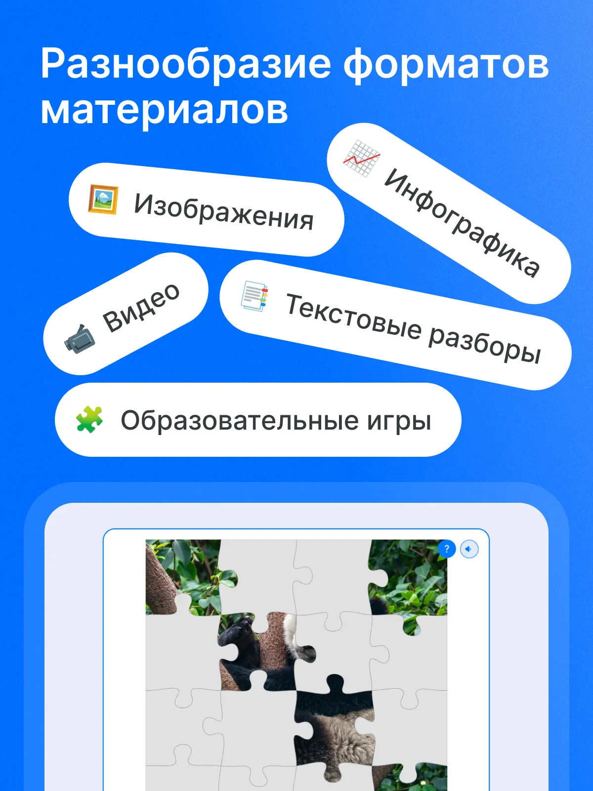 РепеТигр. Все предметы. 6 класс 8