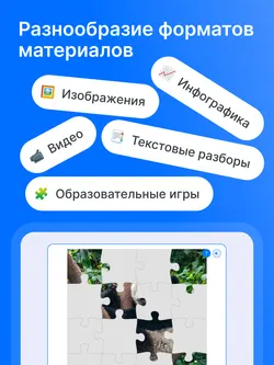 РепеТигр. Все предметы. 5 класс 13