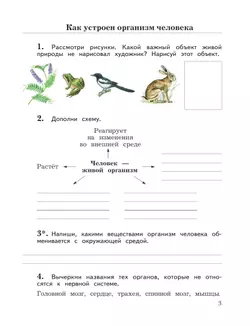 Окружающий мир. 4 класс. Рабочая тетрадь. В 2 частях. Часть 1 9