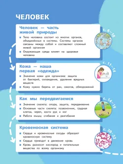 Окружающий мир. 3 класс. Учебное пособие. В 2-х частях. Часть 2 4