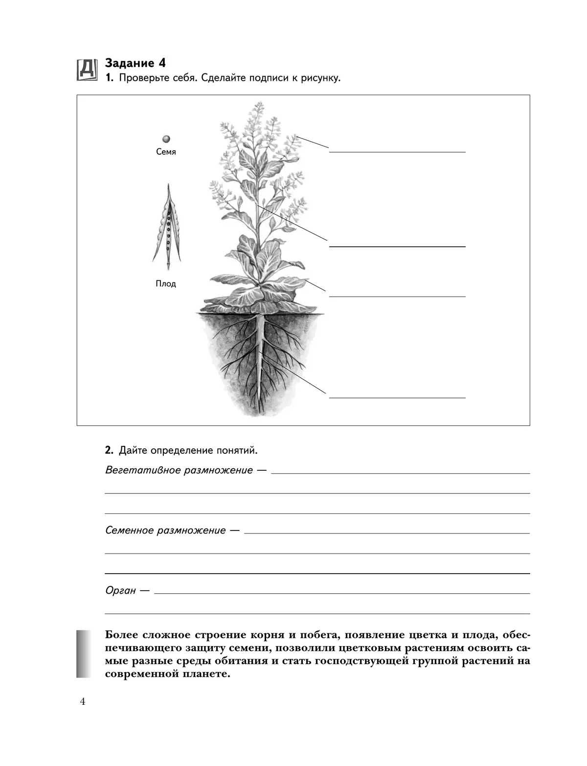 Биология. Живая природа. 6 класс. Рабочая тетрадь. В 2 ч. Часть 2 25